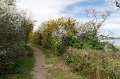 0206Ile aux Moines